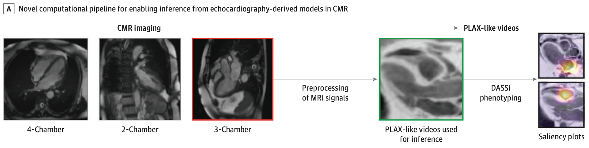 JAMA Cardiology 2024 figure